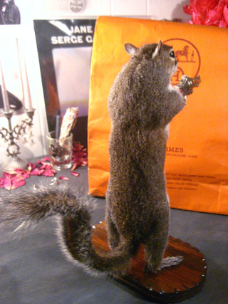 Illustration for article titled Taxidermy Driver